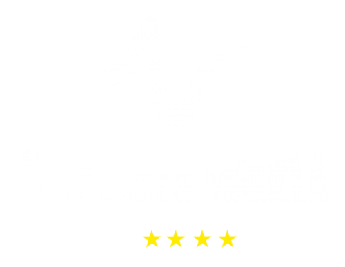 Autocares Viñuela